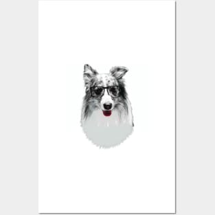 Smart Border Collie Dog with Glasses Posters and Art